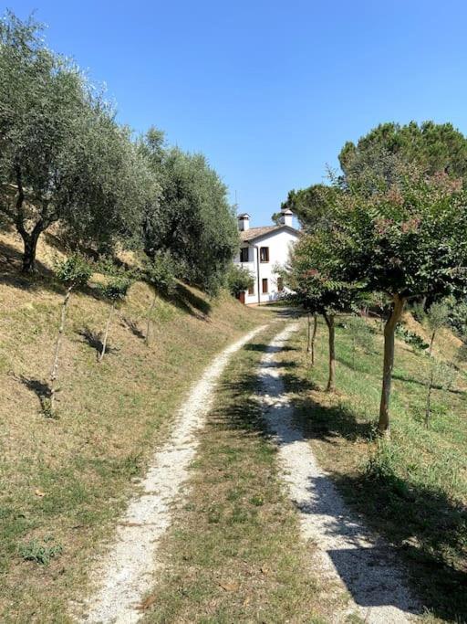 Tenuta Da Mose Con Vista Sui Colli Asolani Monfumo ภายนอก รูปภาพ