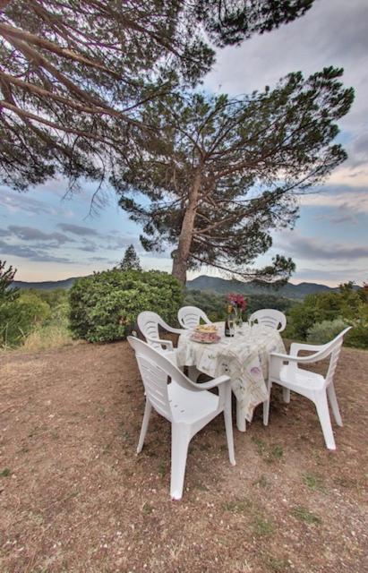 Tenuta Da Mose Con Vista Sui Colli Asolani Monfumo ภายนอก รูปภาพ